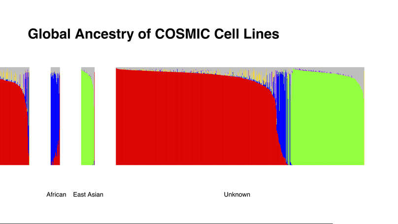 Ancestral characterization of 1018 cancer cell lines highlights disparities and reveals gene expression and mutational differences