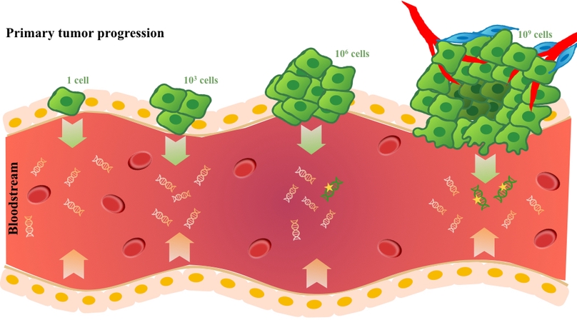 Improving Cancer Detection and Treatment with Liquid Biopsies and ptDNA